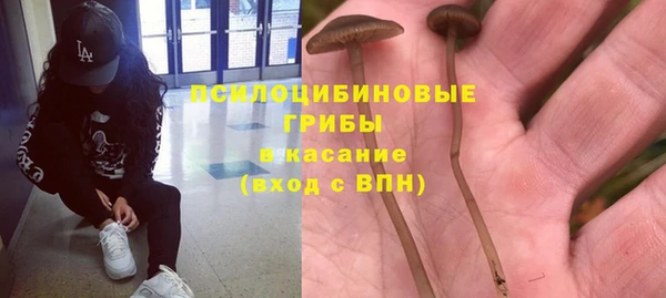 каннабис Богданович