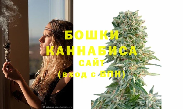 каннабис Богданович